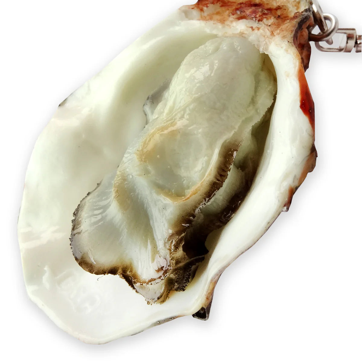Llavero de ostra