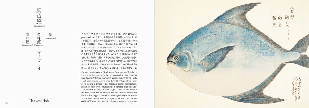 Fishes of Edo